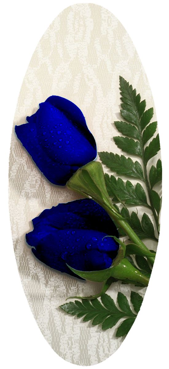 A18 2 Rose Navy Blue PROOF